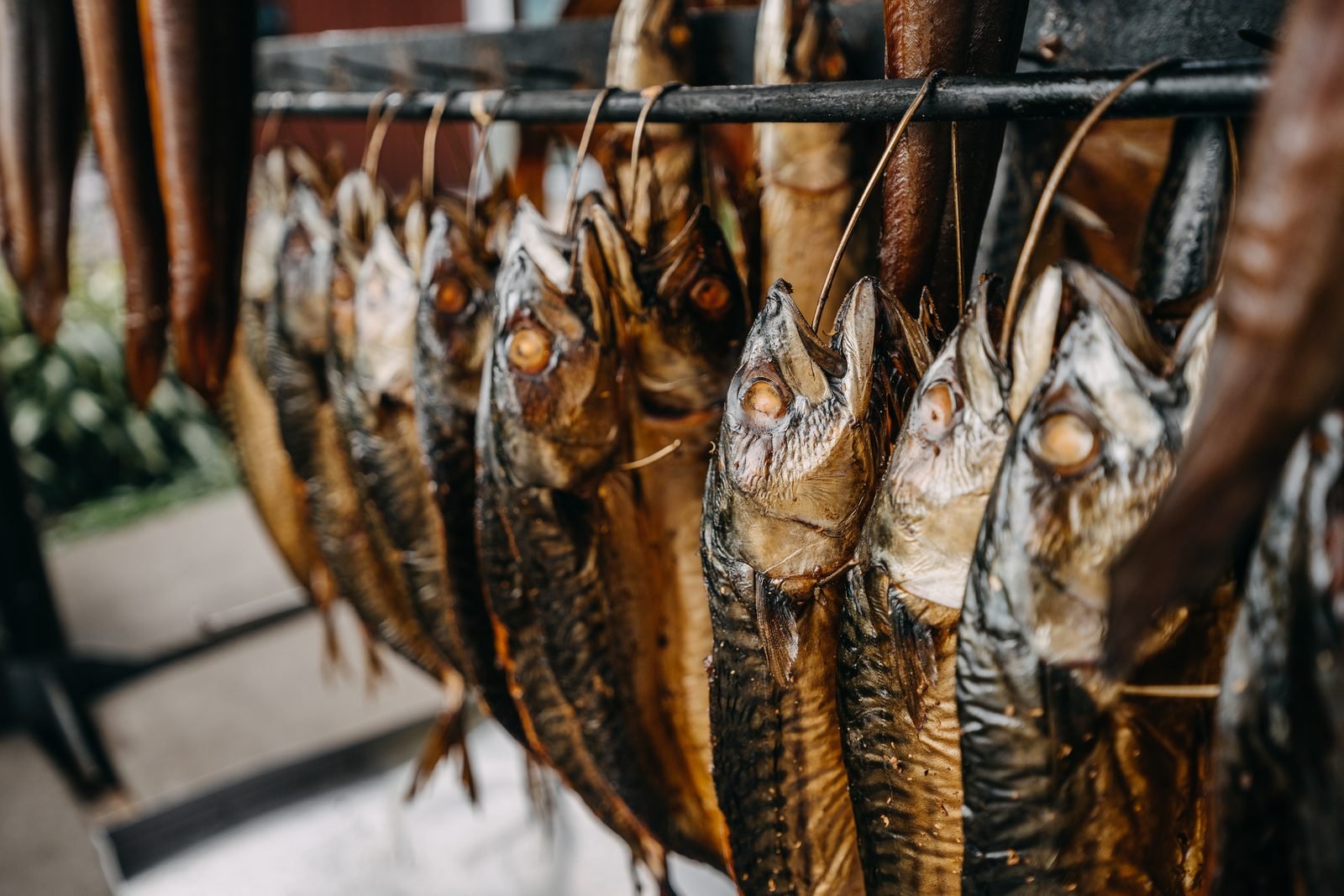 Close view of freshly smoked fish hanging in Neringa, photographed in 2024