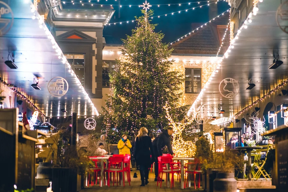 Christmas lights and tree at Senatorių pasažas in Vilnius