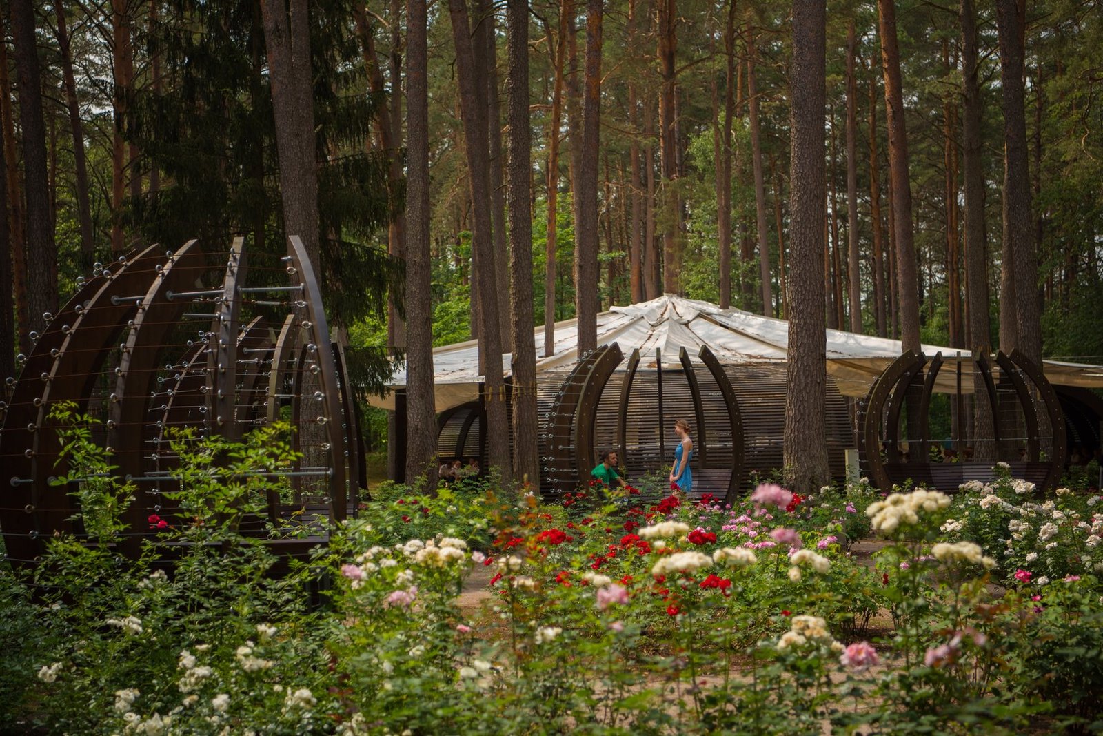 Rose garden and pine forest structures in K. Dineika Wellness Park